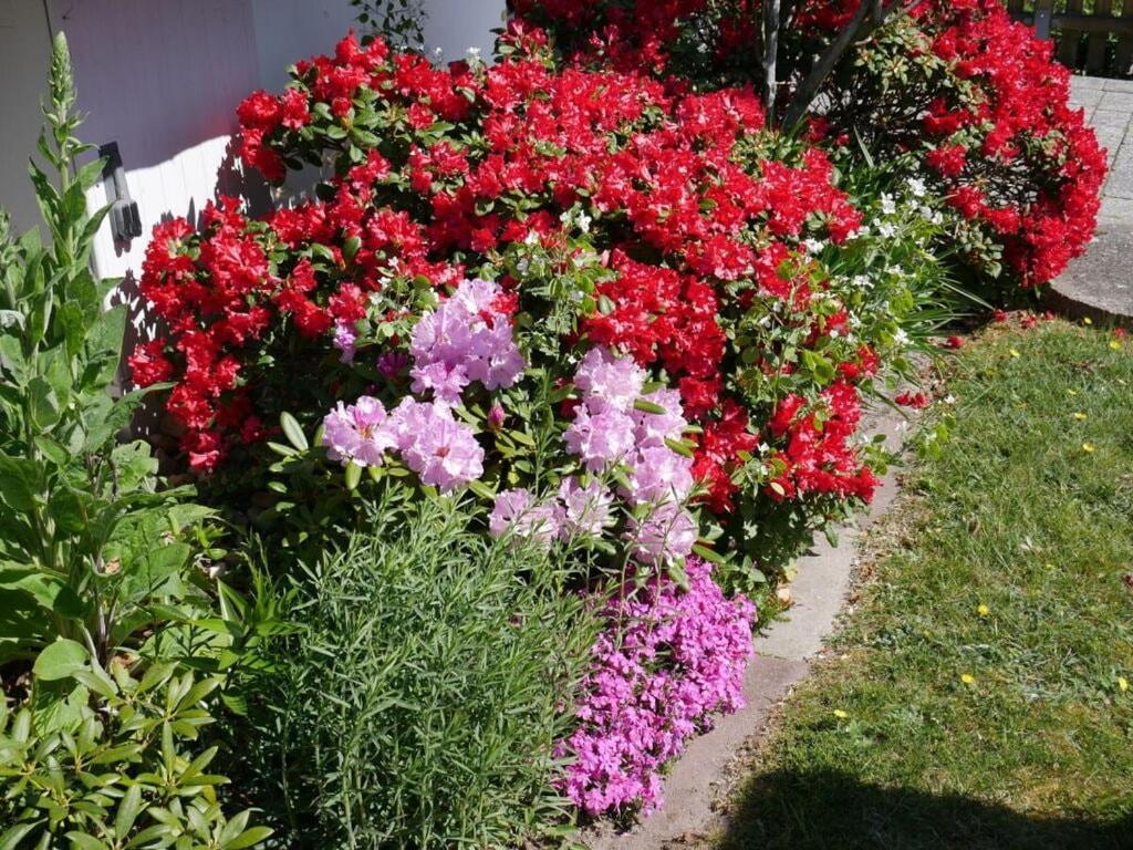 Long Comfortable Holiday Residence Cuxhaven Exterior photo